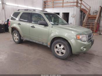  Salvage Ford Escape