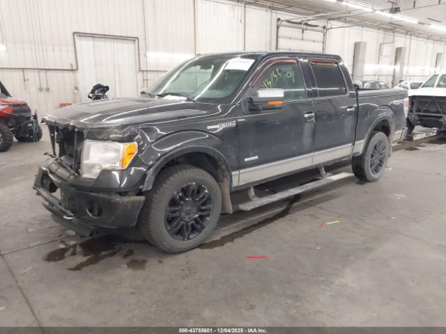 Ford F-150 Platinum Image 2