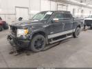 Ford F-150 Platinum Image 2