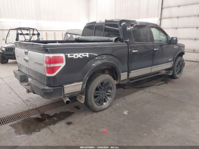 Ford F-150 Platinum Image 3