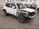 Jeep Renegade Latitude Image 1