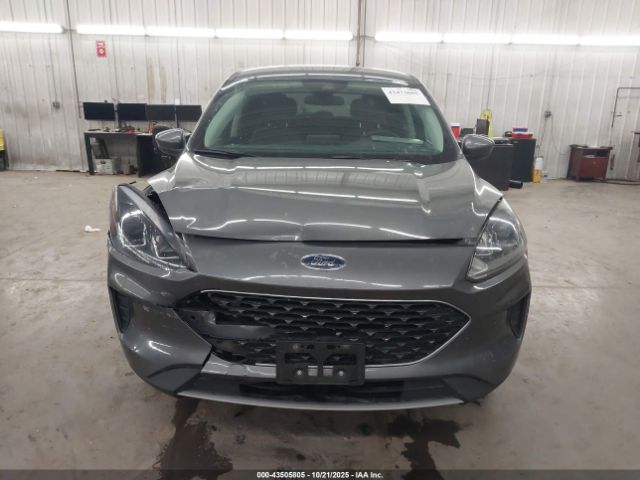 Ford Escape Se Image 4