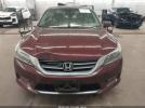 Honda Accord Ex-l Image 16