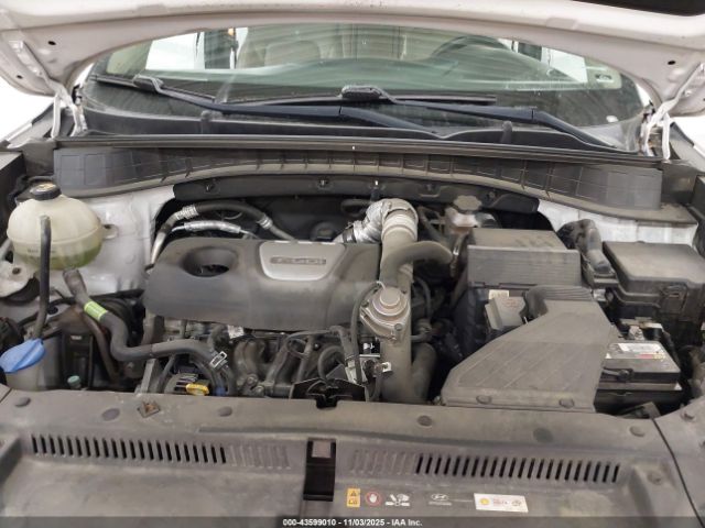 Hyundai TUCSON Limited Image 7