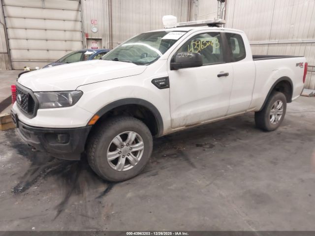 Ford Ranger Xl Image 12